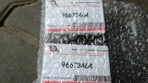 Датчики парктроника 96673464 с «Озона», распаковка и отзыв.