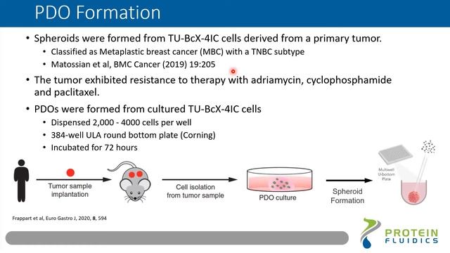 Госпитализация пациента. Pluripotent cell. Ксенографт мыши. Patient derived. Patient derived xenograft перевод.