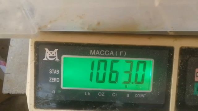 Вес бройлеров в три недели. МегаКорм.