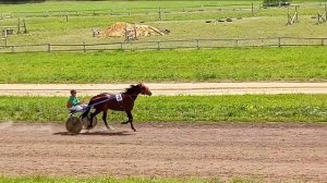 Рысистые бега