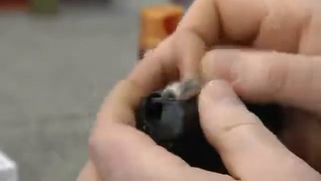 Сюжет о компании на «Первом» канале