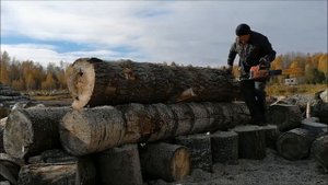 Заработал на дровах Вторая часть
