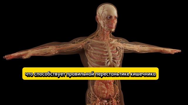 ВСЕГО 1 ЛОЖКА УКРОПА! - Чудеса народного средства!#укроп#зеленьукропа#рецептотвара#рецептнастоя#бол