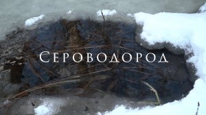 Сероводород