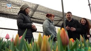 Новости Междуреченска и Кузбасса от 20 февраля 2019 года