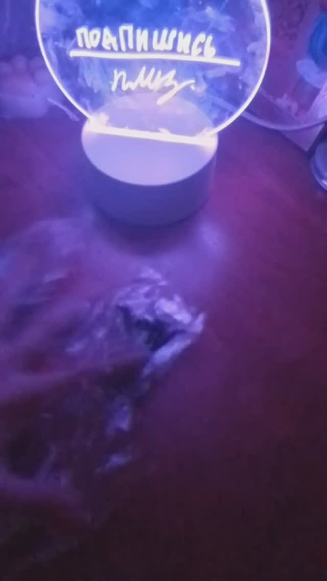 распаковка котиков