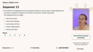 Щелчок к ОГЭ 2024 | Практика по человеку: внутренняя среда организма и кровеносная система