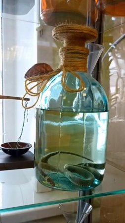 Аптечная полочка с историей.