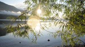 "ОДИНОКАЯ ПЕСНЯ" песня на стихи ЕленыЕЛИСЕЕВОЙ songдизайн-АлександрФефелов-FEFELOFFcom