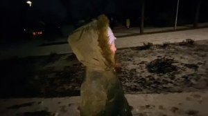 Рождество театральное