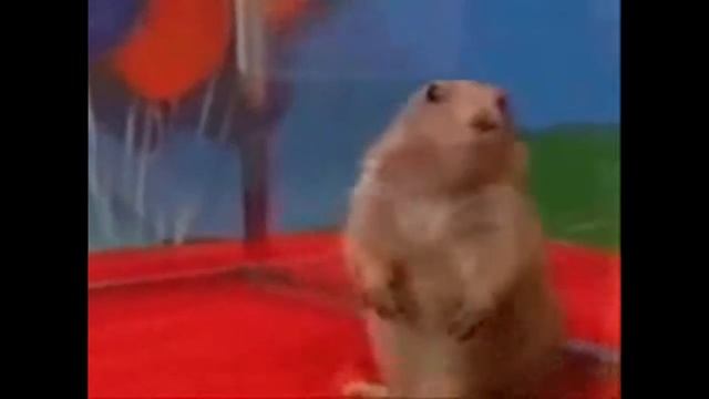 зожник смотреть онлайн