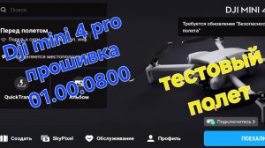 DJI Mini4 Pro - прошивка 01.00.0800. Тестовый полет