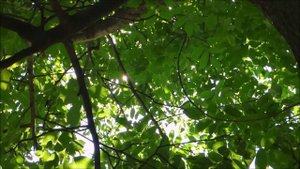 ВСЕ ХОТЯТ К БОГУ, А ДОЛЕТЯТ ЛИ?