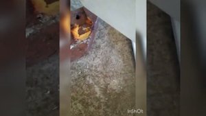 Разбор газплиты ГП 1457-01 от Пашка. Жирная