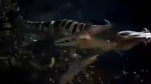 Интерактивный робот WowWee Roboraptor X Белый W8395