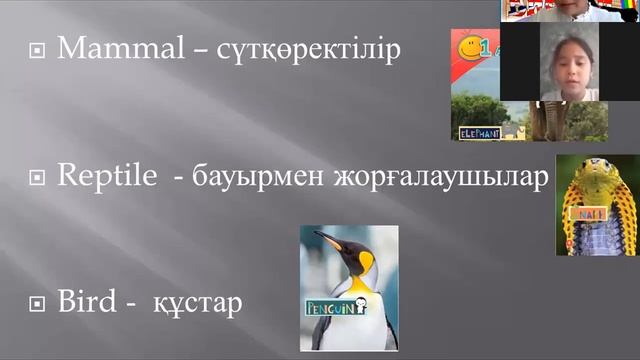 Smiles 3 Unit 1 Animals смотреть онлайн