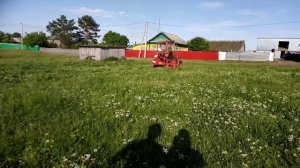 Т25 косит траву роторной косилкой.