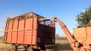 Нива  Ск-5 М-1 з Пун-5 та Птс-40 (Мажара)