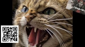 От накуренных для накуренных (Гонцы 420) ЧИТАЙ ОПИСАНИЕ!!!✌🤓 Музыка 2022 music Лучшее ХИТЫ Remix