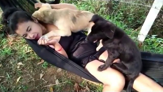 Beautiful Girl Playing With Smart Dog & Funny Dog #8 смотреть онлайн