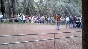 Фонтан-шутиха "Водяная дорога" в Петергофе.