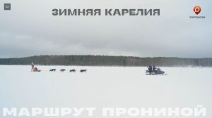 Зимняя Карелия. Собаки \\ Маршрут Прониной