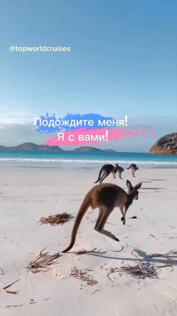#шарлоткарецепт #шарлоткасяблоками #шарлотка #рецепт #быстраяшарлотка