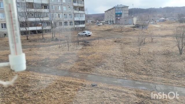 4.04.2024г.УТРО.ЦУКАТЫ.ЗА ОКНОМ ЧИСТО.ТАЁЖНЫЙ #комсомольскнаамуре