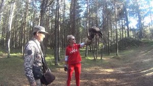 Куршская коса