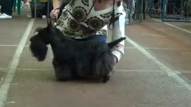 выставка Минск-2012 август.avi