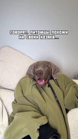 Похожи?