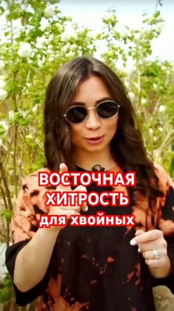 Зимняя ЗАЩИТА ХВОЙНЫХ в японском стиле