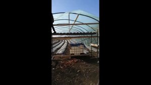 Теплица для клубники за 136 секунд