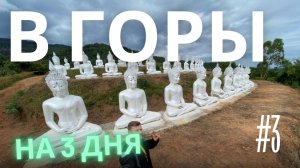 Часть 3. Поездка в горы на границу с Лаос. По горам, по холмам... минус Гималаец!