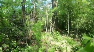 ДРГ ВСУ после неудачного рейда на позиции ВС РФ, лето 2022