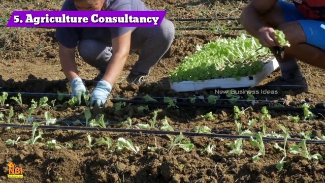 Top 10 New Agriculture Business Ideas for Startups