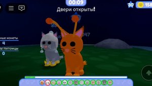 побег питомец