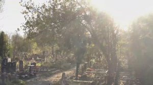 Поездка на автобусе Д от Домодедовского Кладбища до 94-ого участка и до Домодедовского кладбища.