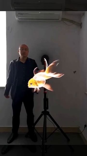 3D HOLOGRAM ADVERTISING DISPLAY LED HOLOGRAM FAN