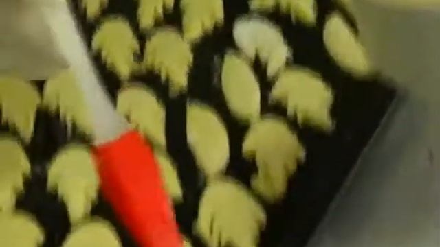 Навчальний фільм з професії "кондитер".