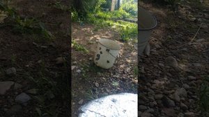 Hatsan хатсан 125 пробитие советского ведра