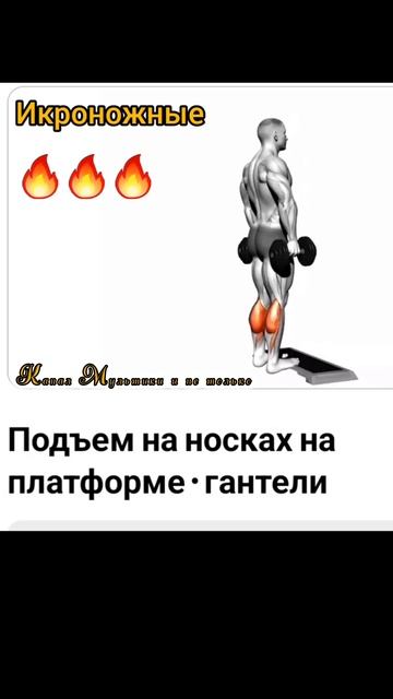 Техника выполнения 💥 Подъем на носках на платформе • Гантели  ✅️ 💪🙂