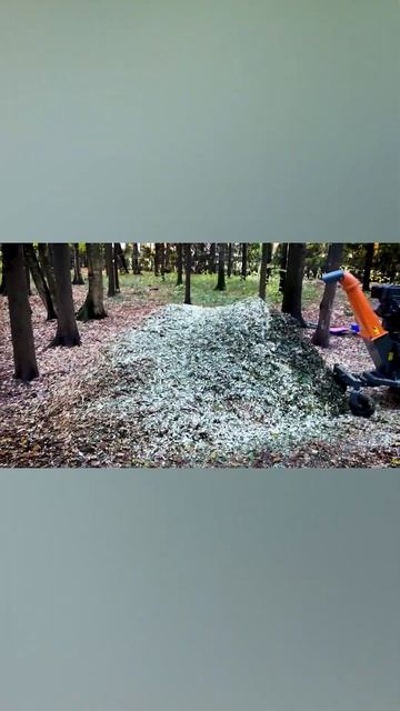 Не рассказывай истории а показывай. Wood Chipper ZimAni LS 150 PRO by Wolfa Group!