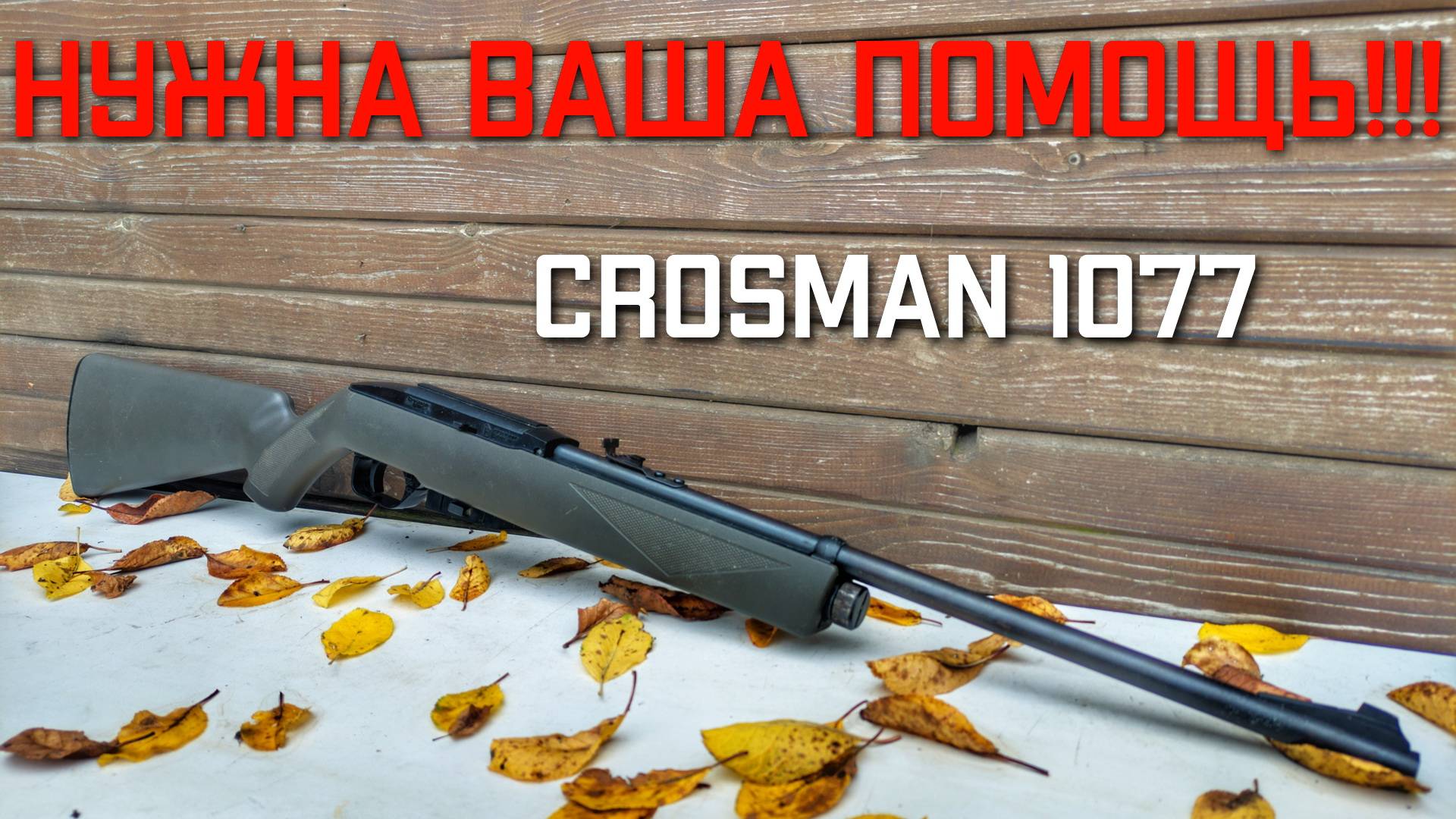 НУЖНА ВАША ПОМОЩЬ!!! с пневматической винтовкой 4 5 мм Crosman 1077