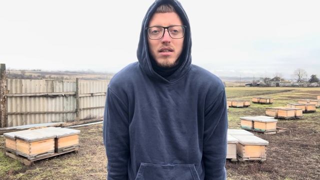 Caught a mite = Dead apiary. смотреть онлайн