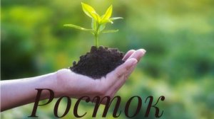 Росток в реглане и не только