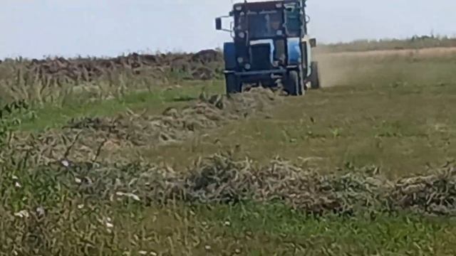 сенокос смотреть онлайн