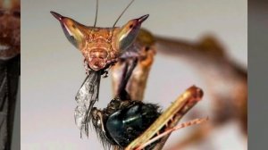 Фильм-10 ЭВОЛЮЦИЯ