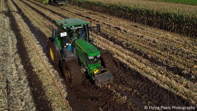 Mais dorsen | Threshing corn in the mud | CLAAS Lexion 750 | Terra Trac | Modderen in de mais 2023