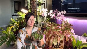 7 растений барометров_ какое стоит добавить в коллекцию.
Евгения Лисова.